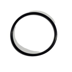 313754 O-Ring